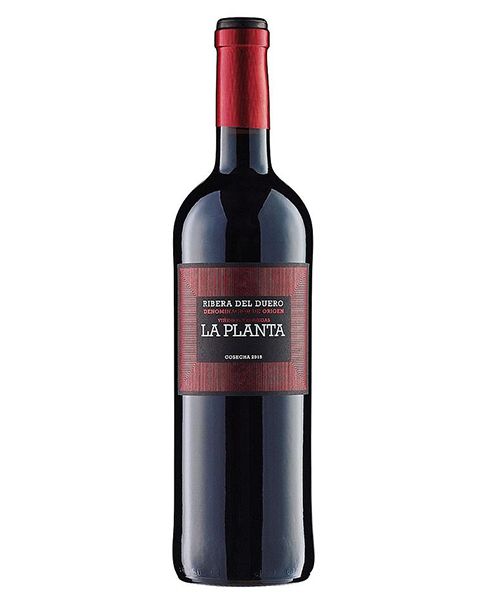 LA PLANTA BOD ARZUAGA 750 MLT 14%